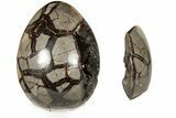 7.6" Septarian "Dragon Egg" Geode - Removable Section - #200203-2